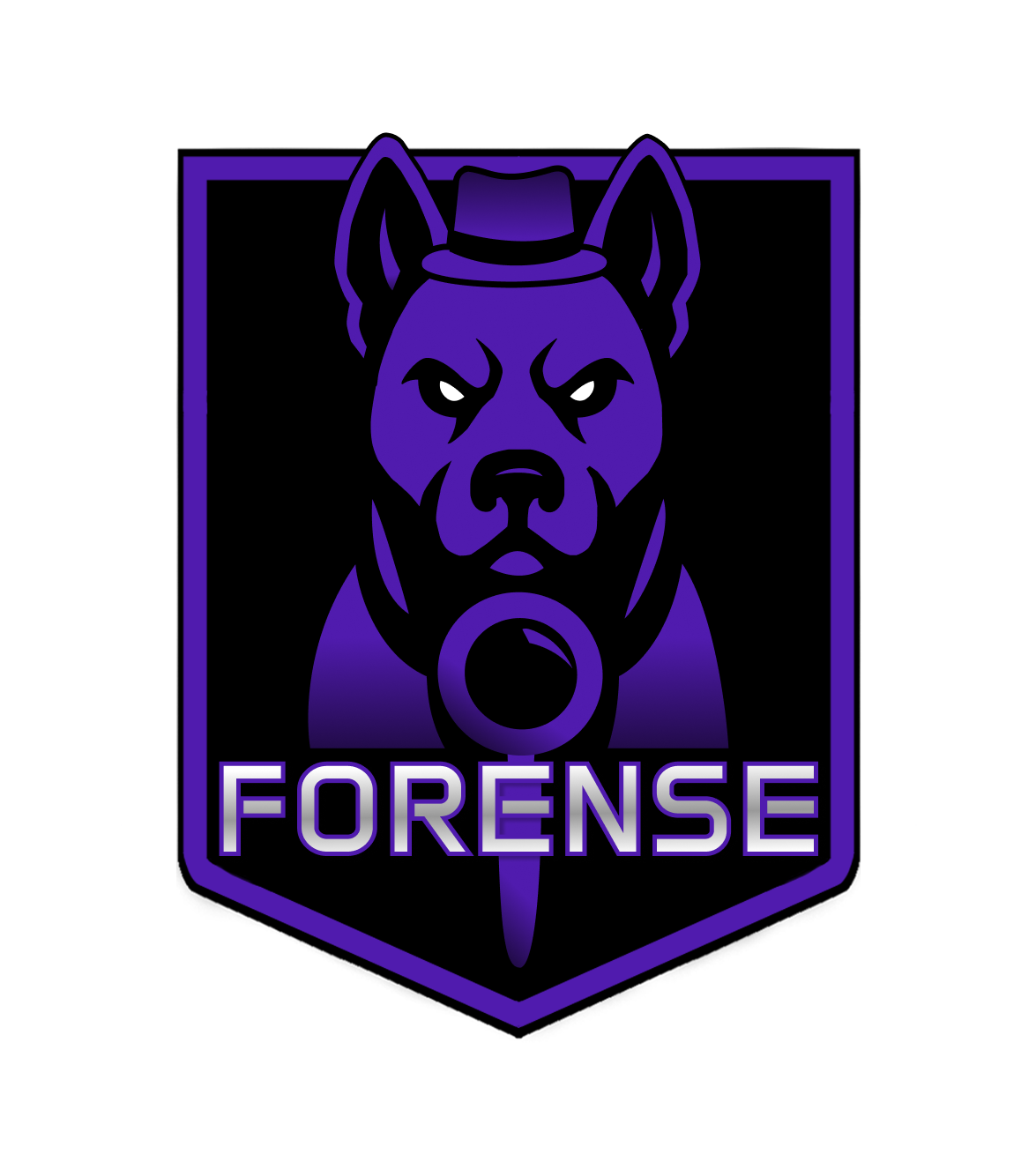 Informática Forense Logo